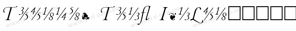 Thicker Than ItaLic字体转换